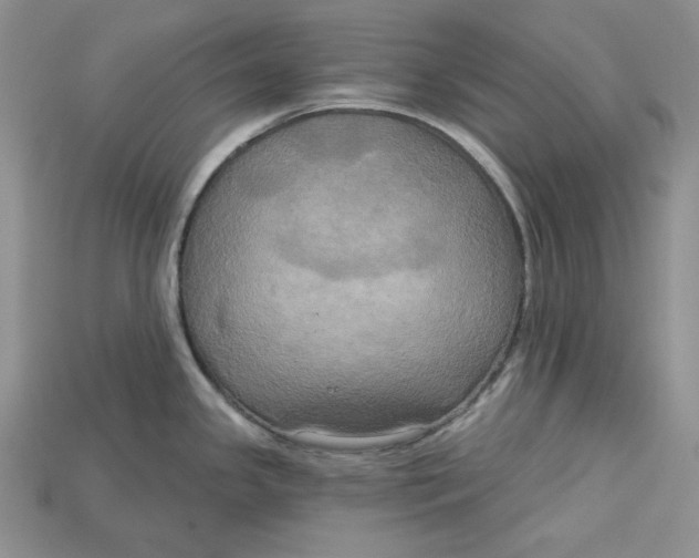 X0000114671341200911121325