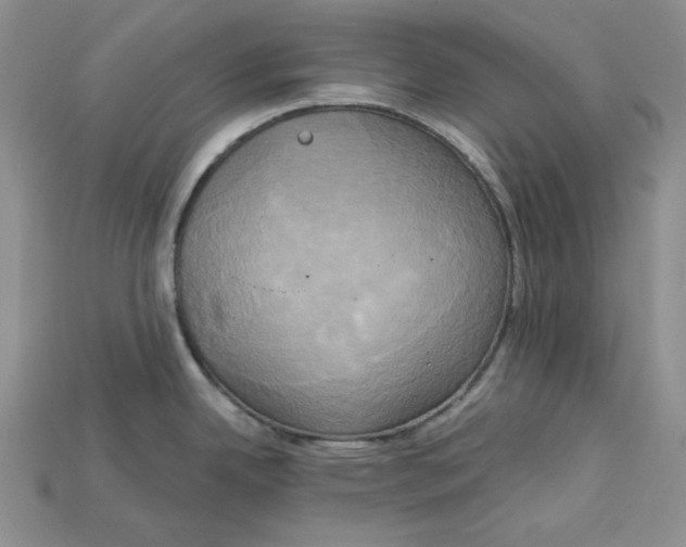 X0000114671342200911121325