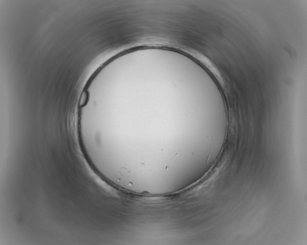 X0000114671343200911121325