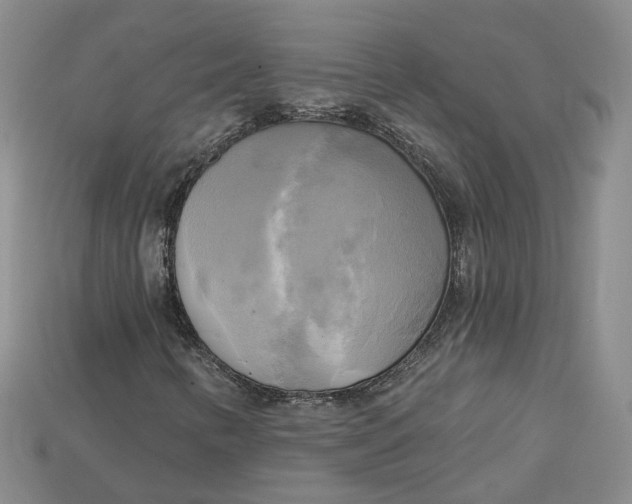 X0000114671346200911121324