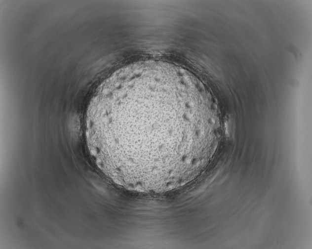 X0000114671347200911121324