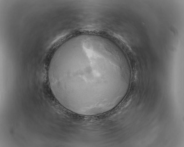 X0000114671350200911121324