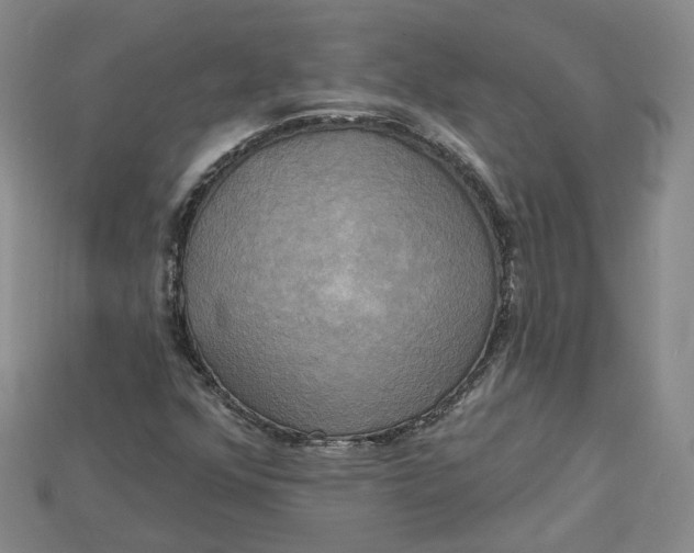 X0000114671352200911121324