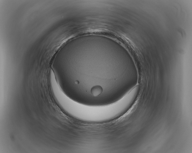 X0000114671353200911121324