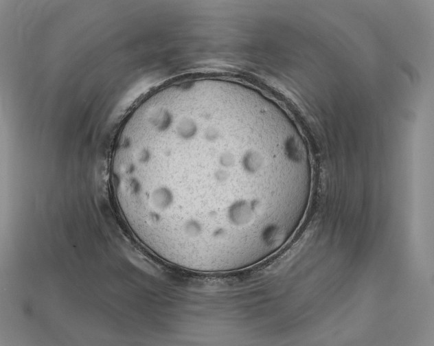 X0000114671355200911121324