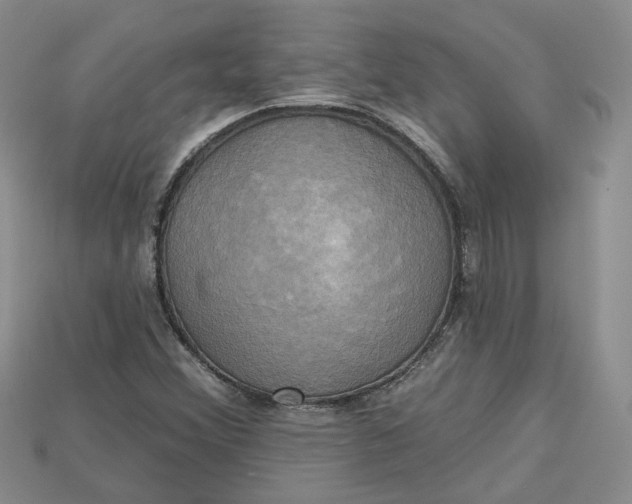 X0000114671356200911121324