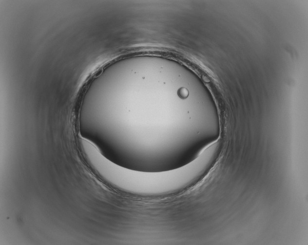 X0000114671357200911121324