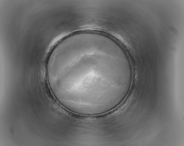 X0000114671358200911121324