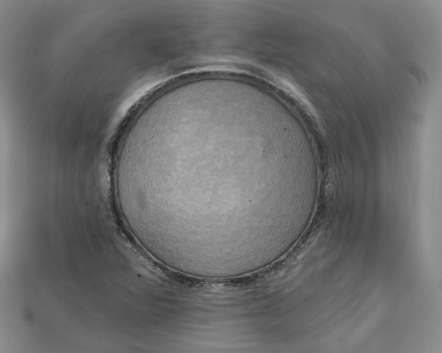 X0000114671360200911121324