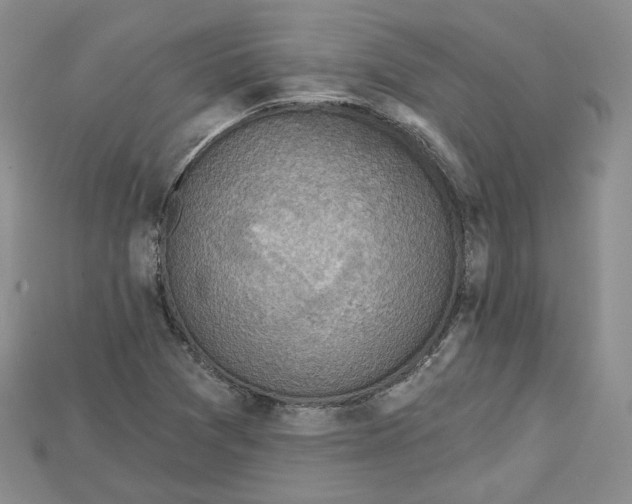 X0000114671361200911121324