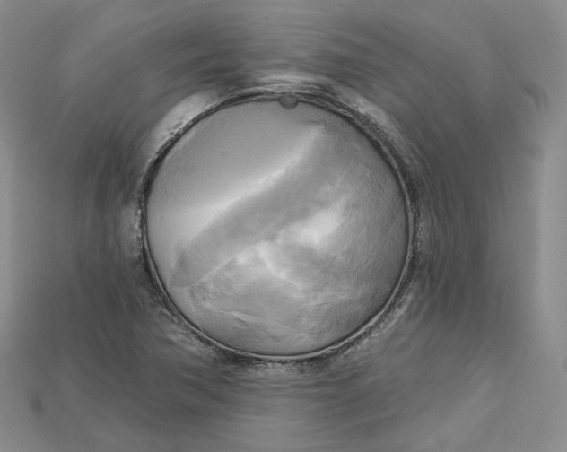 X0000114671362200911121324