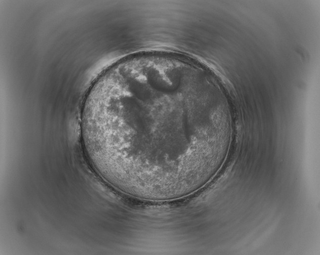 X0000114671363200911121324