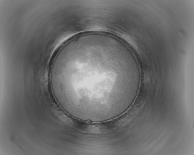 X0000114671364200911121324