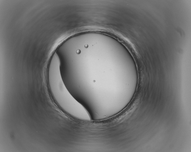 X0000114671365200911121324