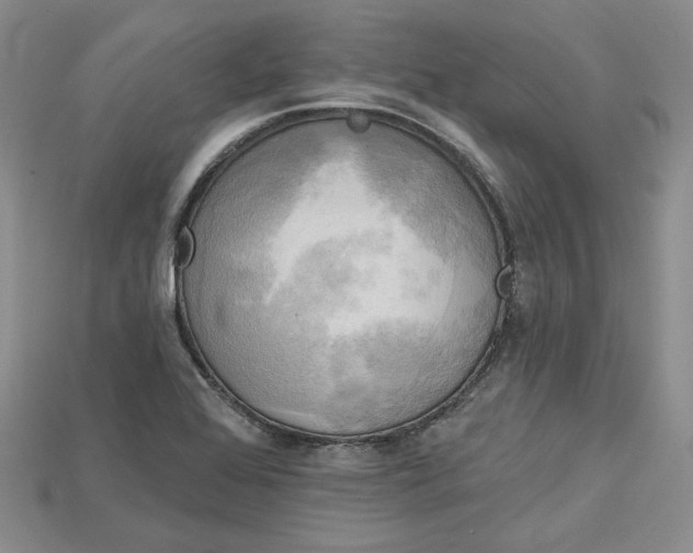 X0000114671368200911121324