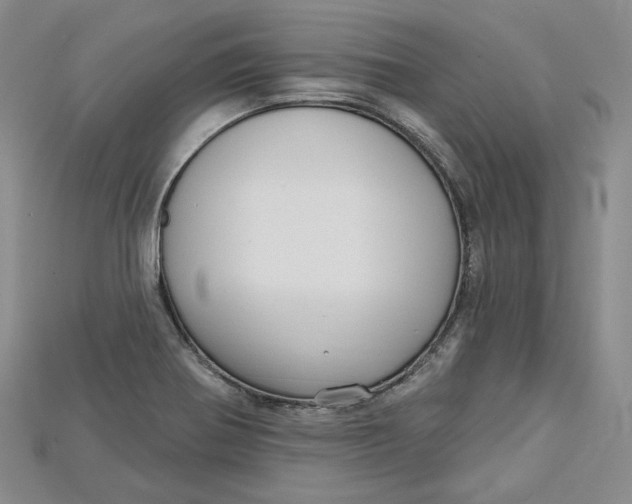 X0000114671370200911121324