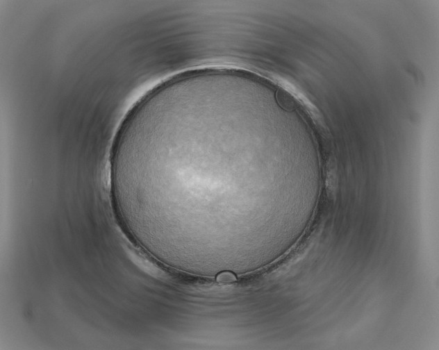 X0000114671372200911121324