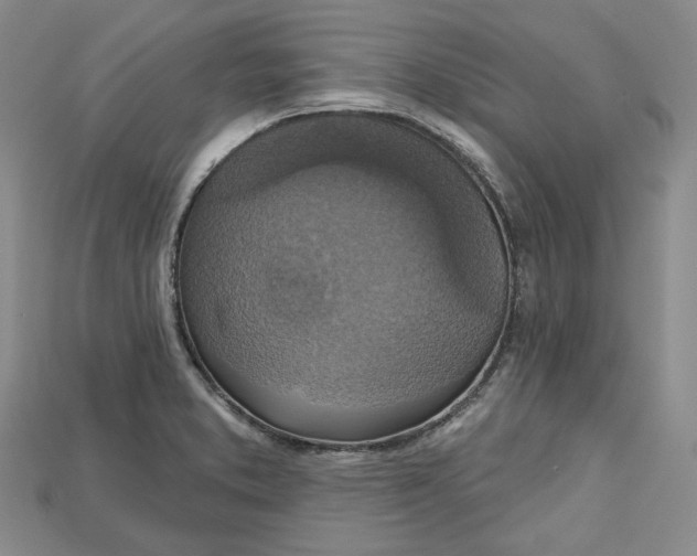 X0000114671373200911121324