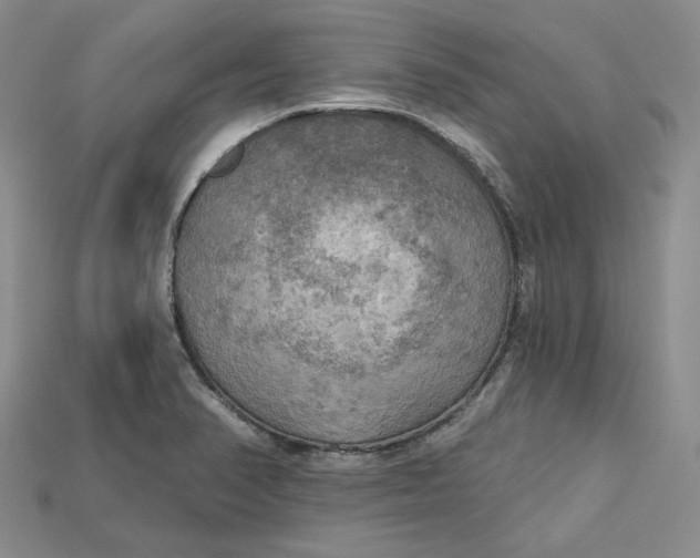 X0000114671374200911121324