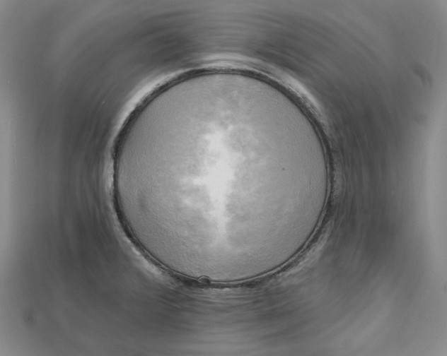 X0000114671376200911121324