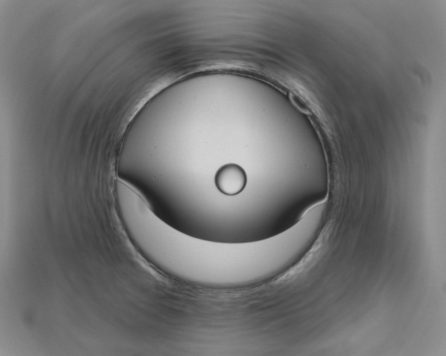 X0000114671377200911121324