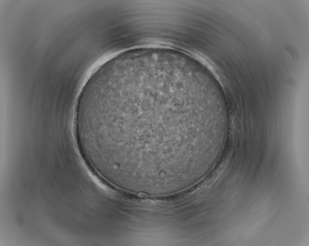 X0000114671379200911121324