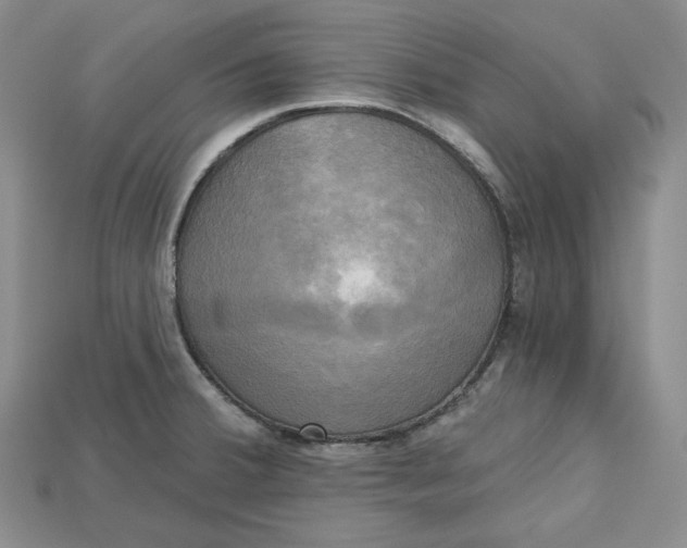 X0000114671380200911121324