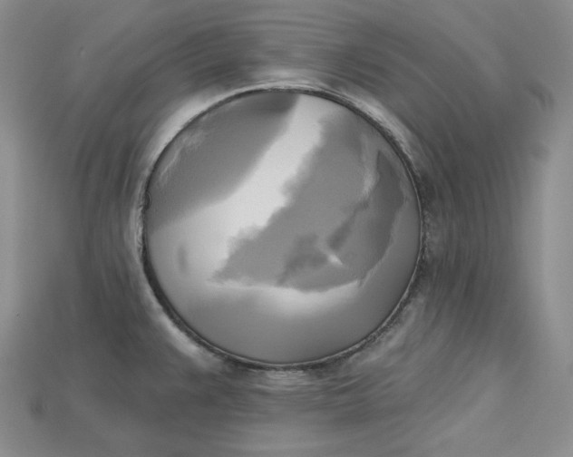 X0000114671383200911121324