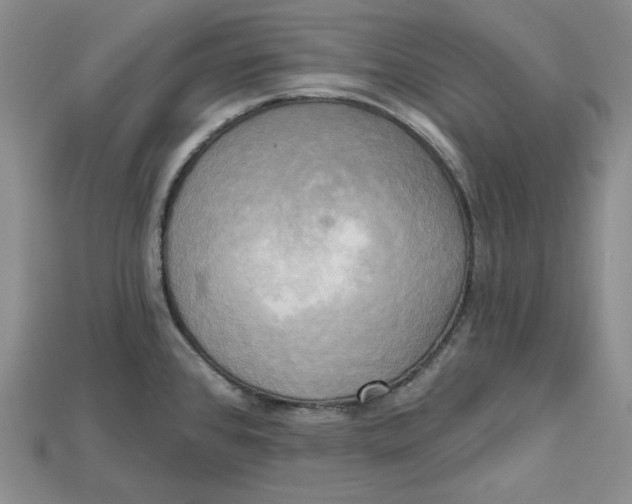 X0000114671384200911121324