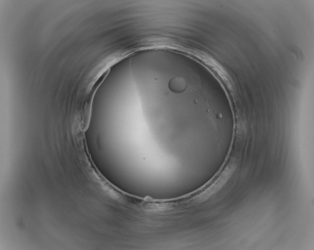 X0000114671385200911121324