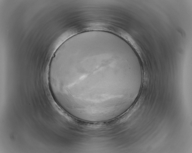 X0000114671386200911121324