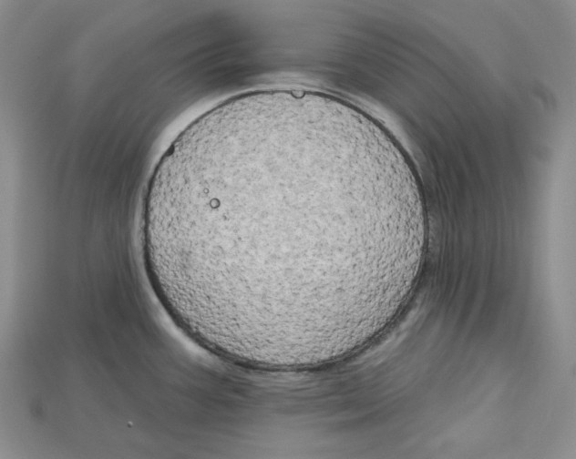 X0000114671387200911121324