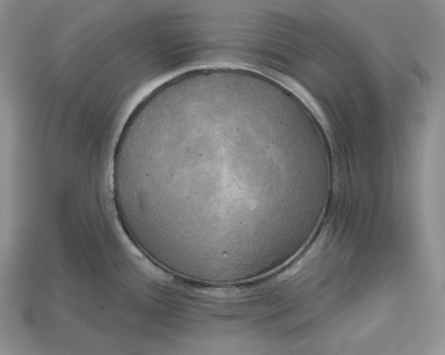 X0000114671388200911121324