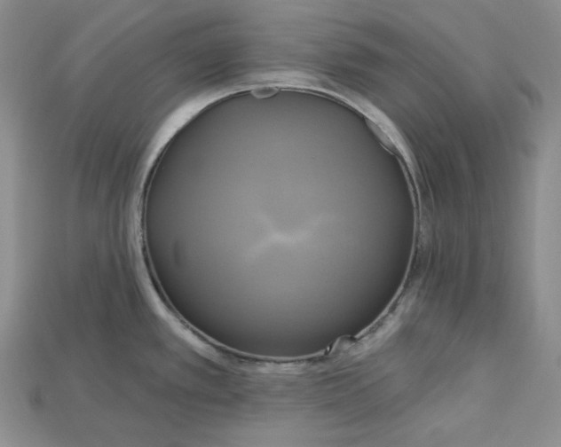 X0000114671389200911121324