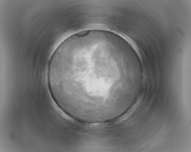 X0000114671390200911121324