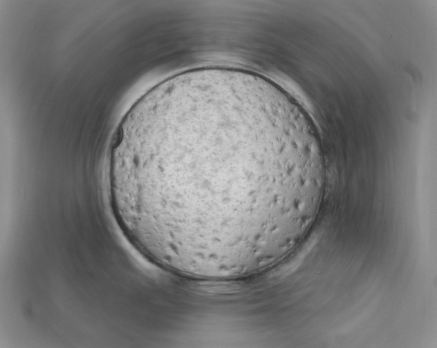 X0000114671391200911121324