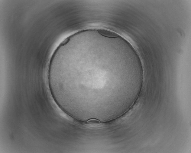 X0000114671392200911121324