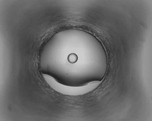 X0000114671397200911121323