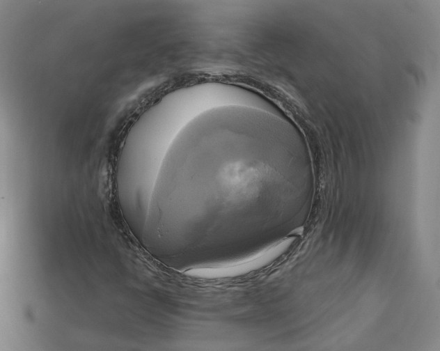 X0000114671398200911121323