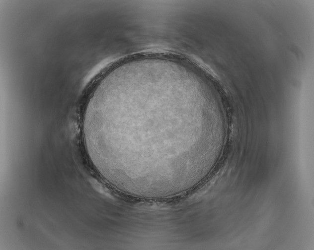 X0000114671400200911121323