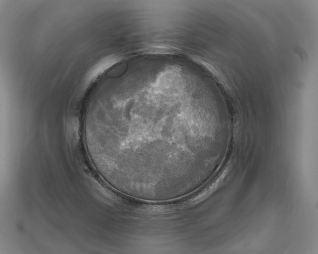 X0000114671402200911121323