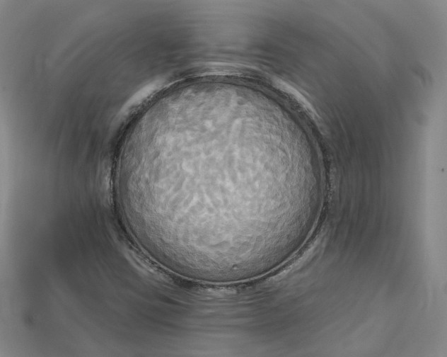 X0000114671403200911121323