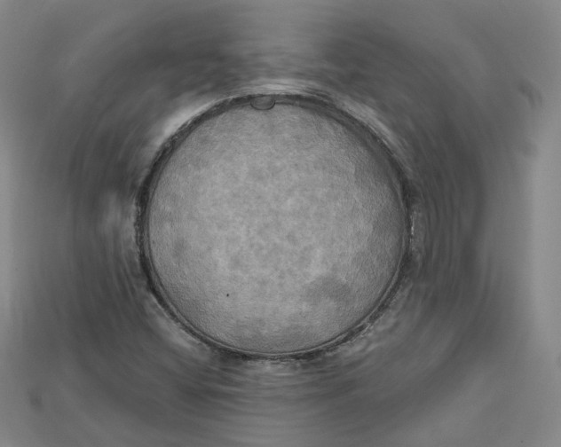 X0000114671404200911121323