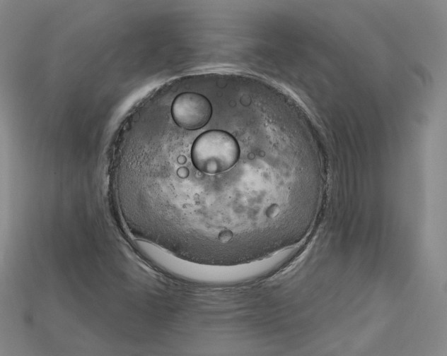 X0000114671406200911121323