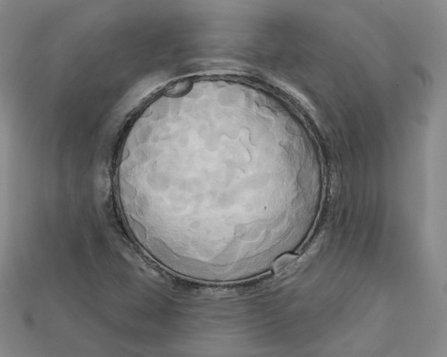 X0000114671407200911121323