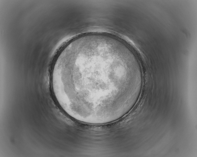 X0000114671408200911121323