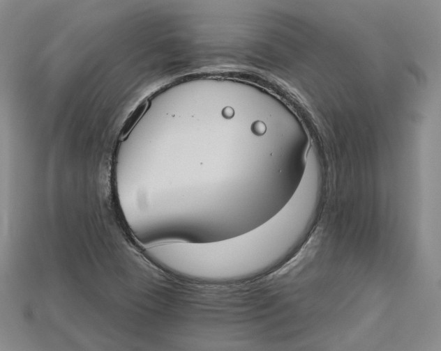 X0000114671409200911121323