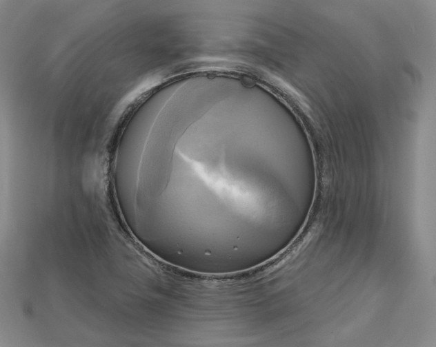 X0000114671411200911121323