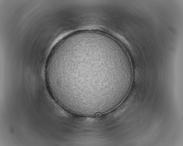 X0000114671412200911121323