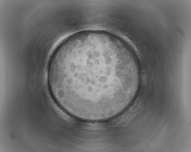 X0000114671416200911121324